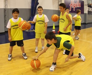 Basketbol 2010